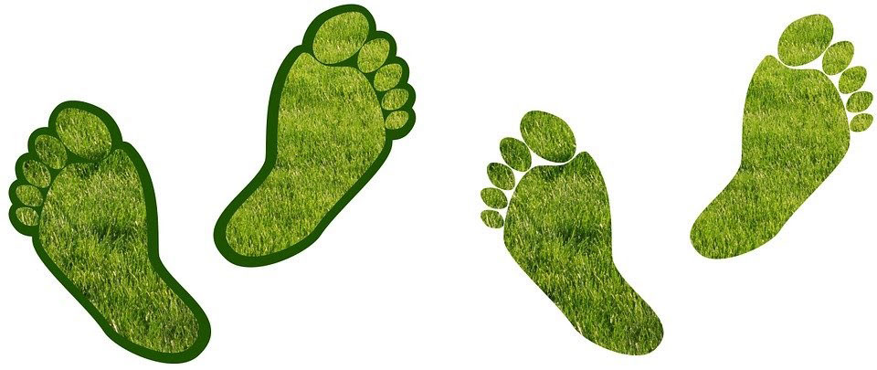 assessing your carbon footprint